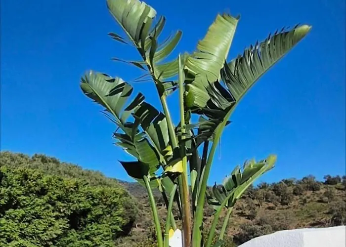 Villa La Bohem'azur Golfe St Tropez 170m2 5 Piscine Magnifique Vue Degagee Deco Boheme Chic *