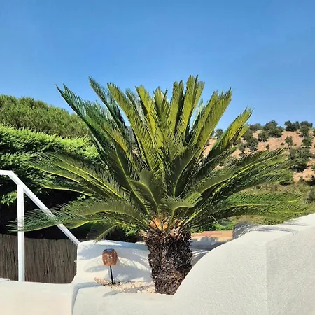 Villa La Bohem'azur Golfe St Tropez 170m2 5 Piscine Magnifique Vue Dégagée Déco Bohème Chic *